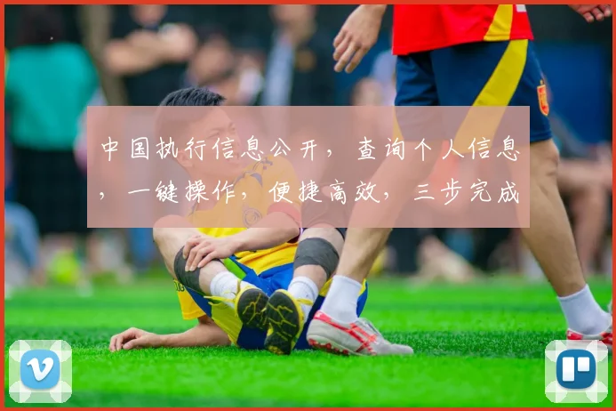 中国执行信息公开，查询个人信息，一键操作，便捷高效，三步完成，放心使用。