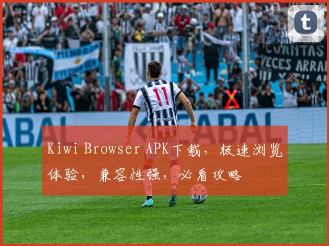 Kiwi Browser APK下载，极速浏览体验，兼容性强，必看攻略